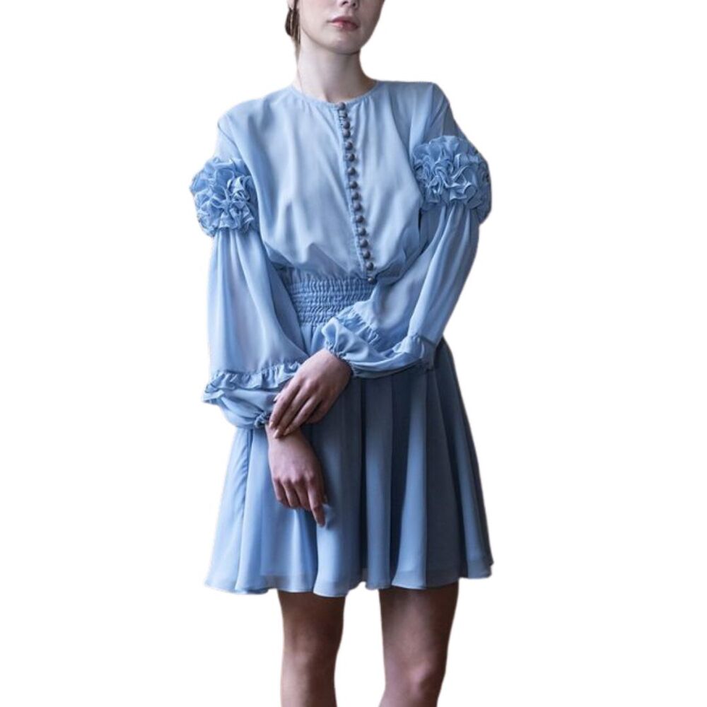 Elena Guranda Blue Ruffled Dress Semi Sheer Balloon Sleeve Sz Medium - Picture 14 of 14
